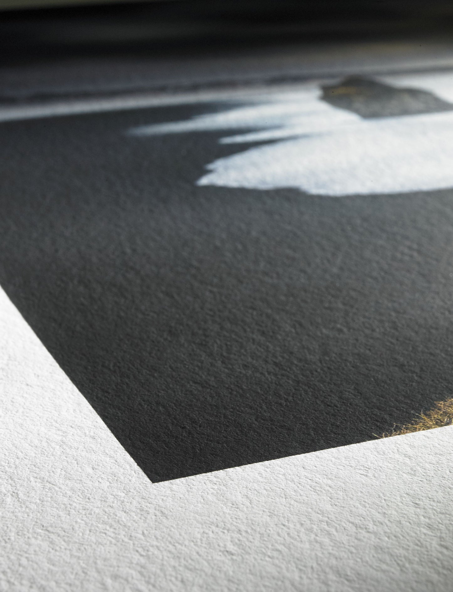 Hahnemuhle Photo Rag Bright White 310 gsm