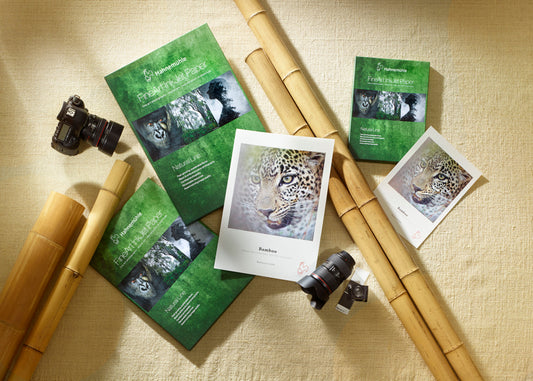 Hahnemuhle Bamboo 290 gsm